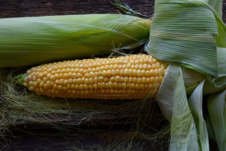 Photo for Colorful, organic corn close-up. Fine art photography. - Royalty Free Image