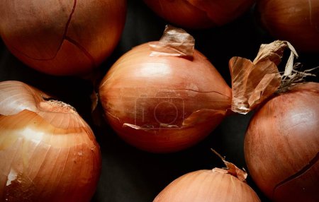 Photo for Colorful, ripe onions. Still life photography. - Royalty Free Image