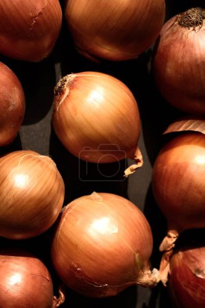Photo for Colorful, ripe onions. Still life photography. - Royalty Free Image
