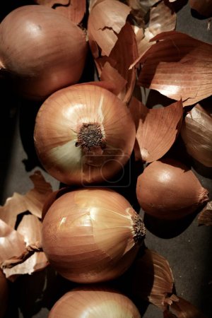 Photo for Still life with colorful, ripe onions. Art composition of the onions. - Royalty Free Image