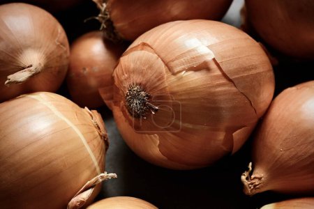 Photo for Still life with colorful, ripe onions. Art composition of the onions. - Royalty Free Image