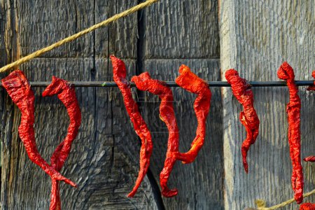 Photo for Red peppers. In Korean families, red peppers are dried in autumn to make national salads. - Royalty Free Image