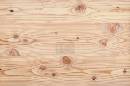 Surface of a natural rustic untreated larch veneer texture background wallpaper with knotholes without varnish, glaze or oil