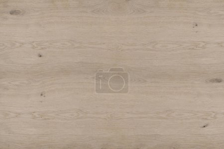 Surface of a natural rustic untreated oak veneer texture background wallpaper with knotholes without varnish, glaze or oil