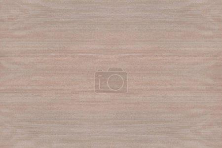 Surface of a natural untreated tropical red meranti veneer texture background wallpaper without varnish, glaze or oil