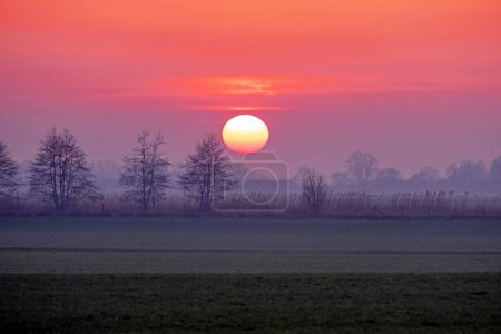 Foto de Increíble puesta de sol en Frisia los Países Bajos - Imagen libre de derechos