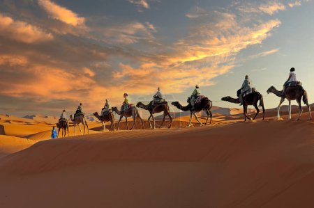 Téléchargez les photos : Camel caravane traversant le désert du Sahara au Maroc au coucher du soleil - en image libre de droit