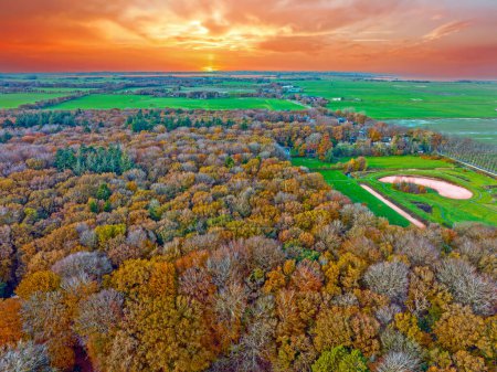 Photo for Aerial landscape in fall in the Netherlands Europe at sunset - Royalty Free Image