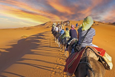 Photo for Camel caravan going through the sand dunes in the Sahara Desert, Morocco. - Royalty Free Image
