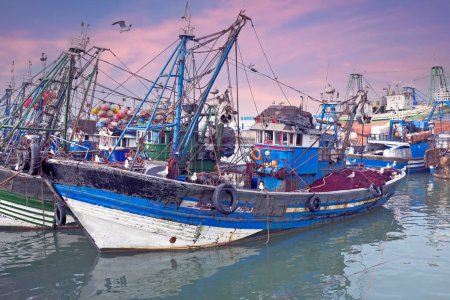 Téléchargez les photos : Bateaux de pêche au port d'Essaouria. Essaouria est la ville de la côte atlantique la plus populaire au Maroc au coucher du soleil - en image libre de droit