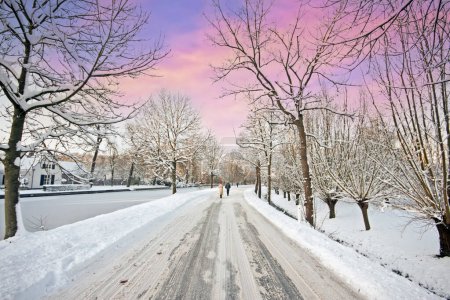 Téléchargez les photos : Paysage enneigé en hiver aux Pays-Bas au coucher du soleil - en image libre de droit