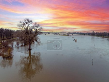 Téléchargez les photos : Vue aérienne d'un très vieil arbre dans un paysage inondé à la rivière IJssel aux Pays-Bas au coucher du soleil - en image libre de droit