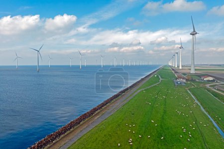 Photo for Aerial from wind turbines at the IJsselmeer in the Netherlands with sheep on the dyke - Royalty Free Image