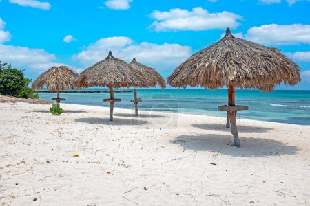 Photo for Straw umbrellas on Eagle Beach, Aruba on a lovely summer da - Royalty Free Image