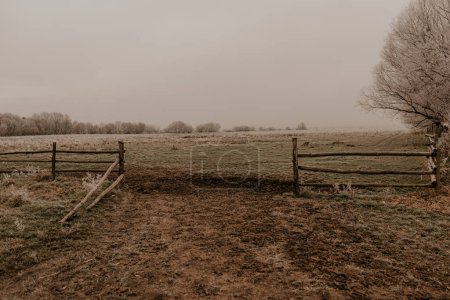 old wooden fence. hedge. beams. open gate. barrier. empty green field in grass covered with hoarfrost. earlier autumn winter morning. Nature in fog, gloomy cold weather. temperature drop Ukraine Europe