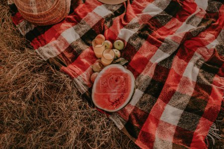 Reisedecke kariert rot kariert auf Gras im Sommer an sonnigen Tagen zum Picknick. Weidenkorb, Streuobst, reife Äpfel, saftig geschnittene Wassermelonensamen, Strohhut. Zelten, Urlaub, Erholung in der Natur