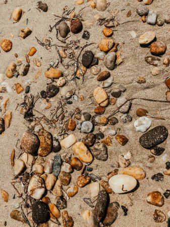 Sea stones on sandy wet beach. Summer background texture wallpaper. Top aerial view above sunny beach day. various beautiful multi-colored round smooth pebbles are scattered on the sand