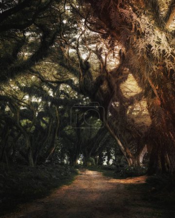 Photo for Cypress tree tunnel in East Java - Royalty Free Image