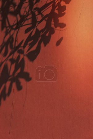 Photo for Shadow of leaves on an orange wall - Royalty Free Image