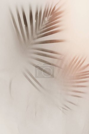 Téléchargez les photos : Feuilles de palmier vert flou sur fond blanc cassé - en image libre de droit