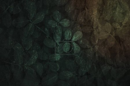 Foto de Patrón de hoja verde oscuro fondo texturizado - Imagen libre de derechos