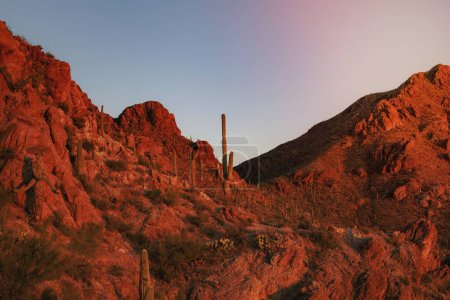 Téléchargez les photos : Montagnes rocheuses avec fond désertique paysage nature - en image libre de droit