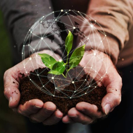 Téléchargez les photos : Smart farming green plant product agricultural technology - en image libre de droit
