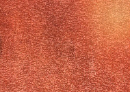 Photo for A image of leather background - Royalty Free Image