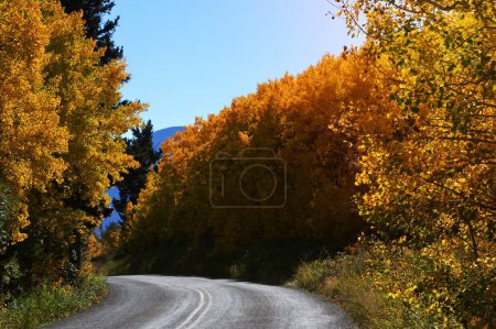 Photo for A image of Fall color - Royalty Free Image