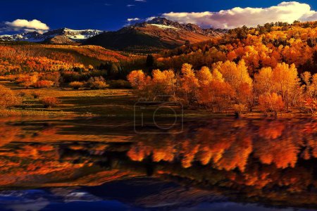 Photo for Autumn forest by the water - Royalty Free Image