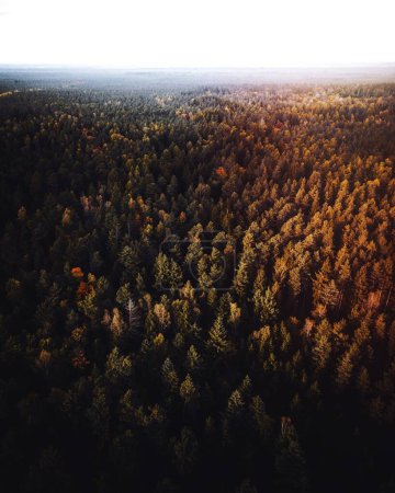 Aerial view of Schwarzwald, the black forest, Germany
