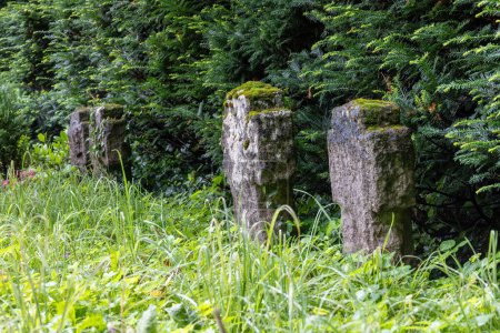 Foto de Lápidas hechas de piedra natural, viejas, abandonadas en el borde del bosque y cubiertas de musgo - Imagen libre de derechos