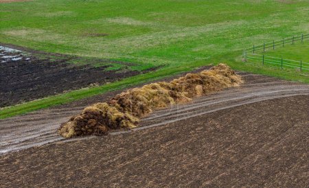 Photo for Pile of manure in a wet field in winter with puddles - Royalty Free Image