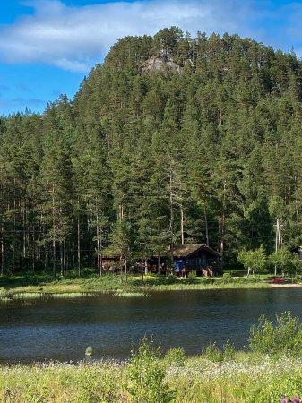 cabaña típica de madera en Noruega en el bosque junto al lago