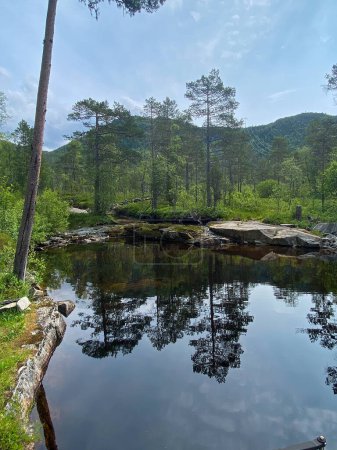 Kleiner Bergsee mit Spiegelungen im Wald Norwegens