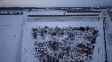 Téléchargez les photos : Paysage hivernal enneigé avec champs et arbres autour de Weiterstadt capturés avec un drone lors d'une soirée d'hiver - en image libre de droit