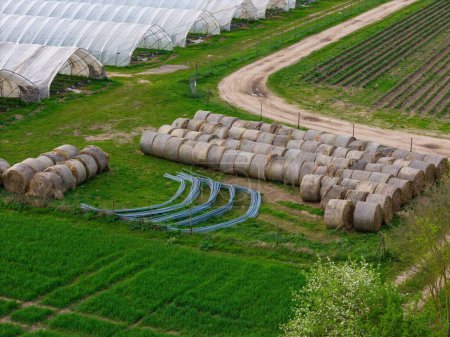 Foto de Invernaderos, fardos de paja y marcos de hierro en la agricultura cerca de la ciudad Weiterstadt - Imagen libre de derechos