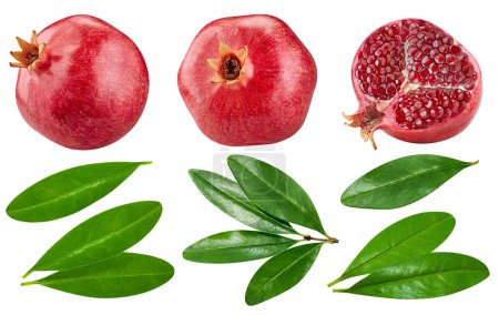 Photo for Pomegranate collection with leaves isolated on white background. Pomegranate set Clipping Path. Pomegranate macro studio photo - Royalty Free Image