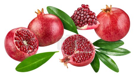 Photo for Pomegranate collection with leaves isolated on white background. Pomegranate set Clipping Path. Pomegranate macro studio photo - Royalty Free Image
