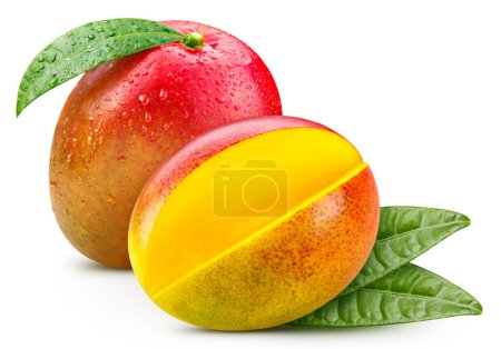 Téléchargez les photos : Fresh mango with leaves isolated on white background, mango on white background with clipping path. - en image libre de droit