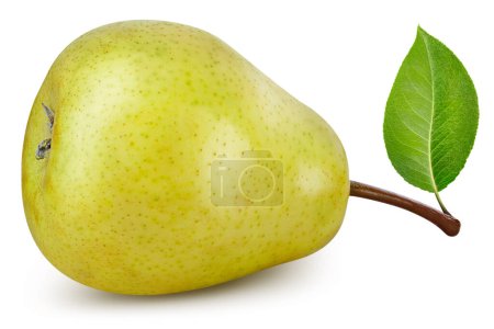 Photo for Pear leaves with Clipping Path isolated on a white background. Pear collection - Royalty Free Image