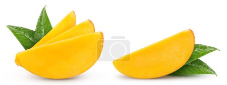 Téléchargez les photos : Une part de mangue. Mangue biologique fraîche avec des feuilles isolées sur fond blanc. Mangue avec chemin de coupe - en image libre de droit