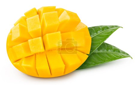 Foto de Mango leaves with Clipping Path isolated on a white background. Mango collection - Imagen libre de derechos