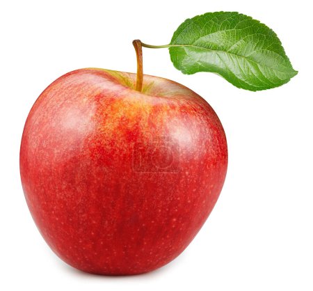 Organic red apple isolated on white background. Taste apple with leaf. With clipping path