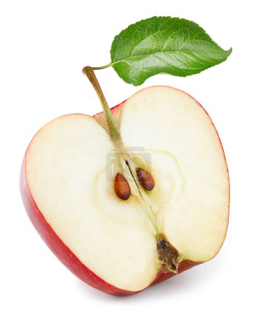 Foto de Manzana aislada mitad con hoja. Fruto de manzana roja sobre fondo blanco con ruta de recorte. Como elemento de diseño. - Imagen libre de derechos
