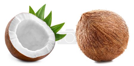 Photo for Coconut with green leaves isolated on white background. Coconut collection with clipping path. Coconut stack full depth of field macro shot. - Royalty Free Image