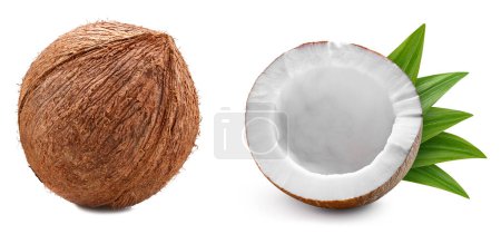 Téléchargez les photos : Noix de coco biologique isolée sur fond blanc. Goûtez à la noix de coco avec des feuilles. Avec chemin de coupe - en image libre de droit