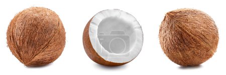Téléchargez les photos : Noix de coco isolée sur fond blanc. Collection noix de coco avec chemin de coupe. - en image libre de droit