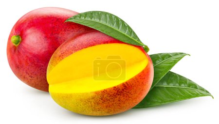 Téléchargez les photos : Mango leaves with Clipping Path isolated on a white background. Mango collection - en image libre de droit
