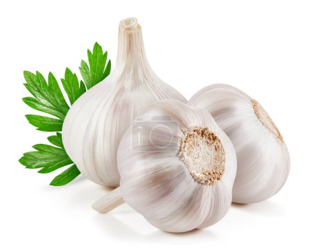 Photo for Garlic isolated on white background. Garlic clipping path. Garlic with clipping path - Royalty Free Image